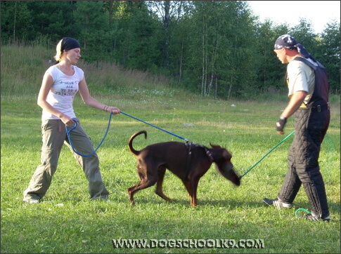 Summer training camp in Finland 2007